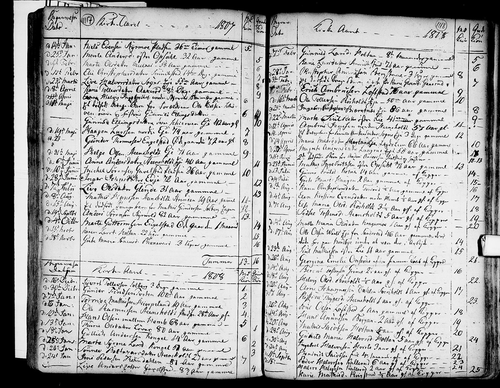 Lardal kirkebøker, AV/SAKO-A-350/F/Fa/L0003: Parish register (official) no. I 3, 1733-1815, p. 1117-1118