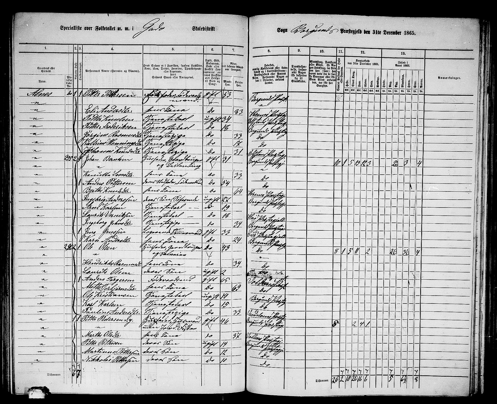 RA, 1865 census for Borgund, 1865, p. 155