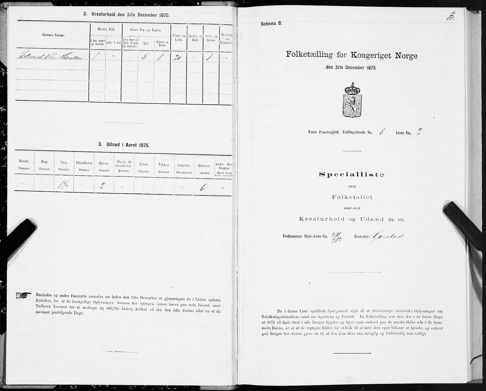 SAT, 1875 census for 1751P Nærøy, 1875, p. 4003