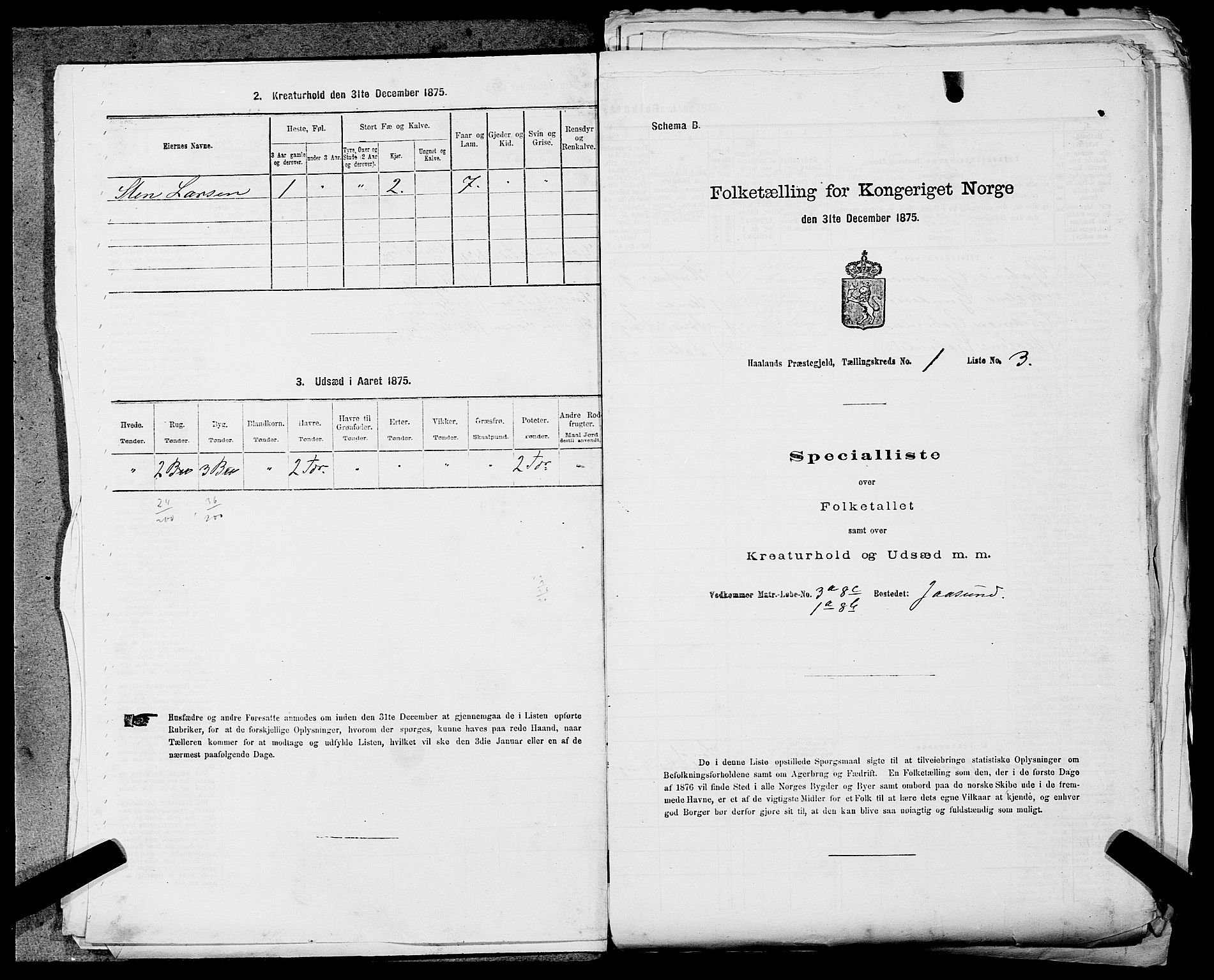 SAST, 1875 census for 1124P Håland, 1875, p. 57