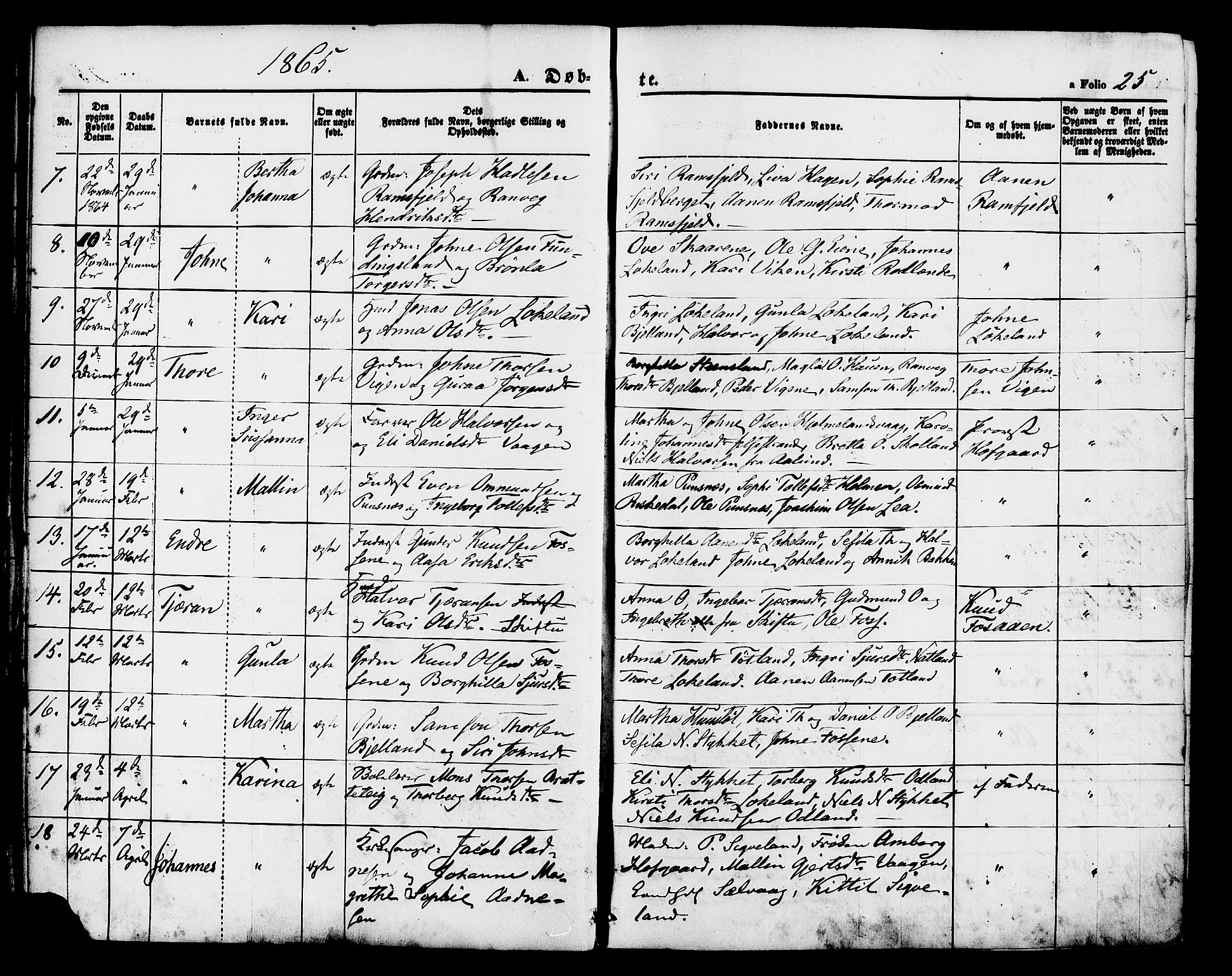 Hjelmeland sokneprestkontor, AV/SAST-A-101843/01/IV/L0011: Parish register (official) no. A 11, 1861-1878, p. 25