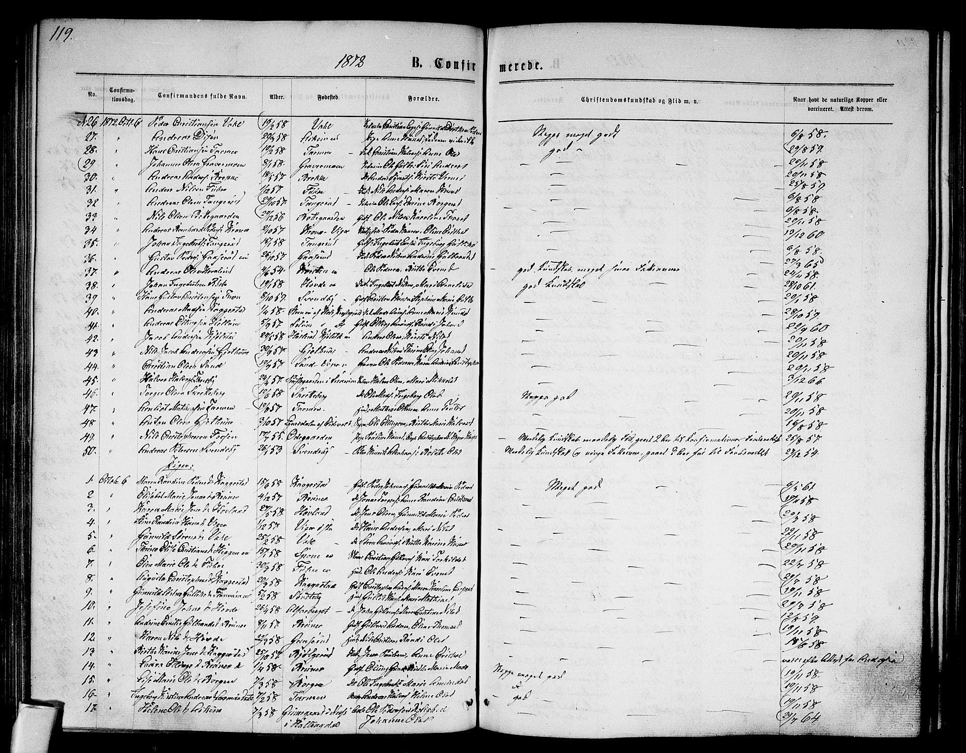 Modum kirkebøker, AV/SAKO-A-234/G/Ga/L0007: Parish register (copy) no. I 7, 1869-1878, p. 119