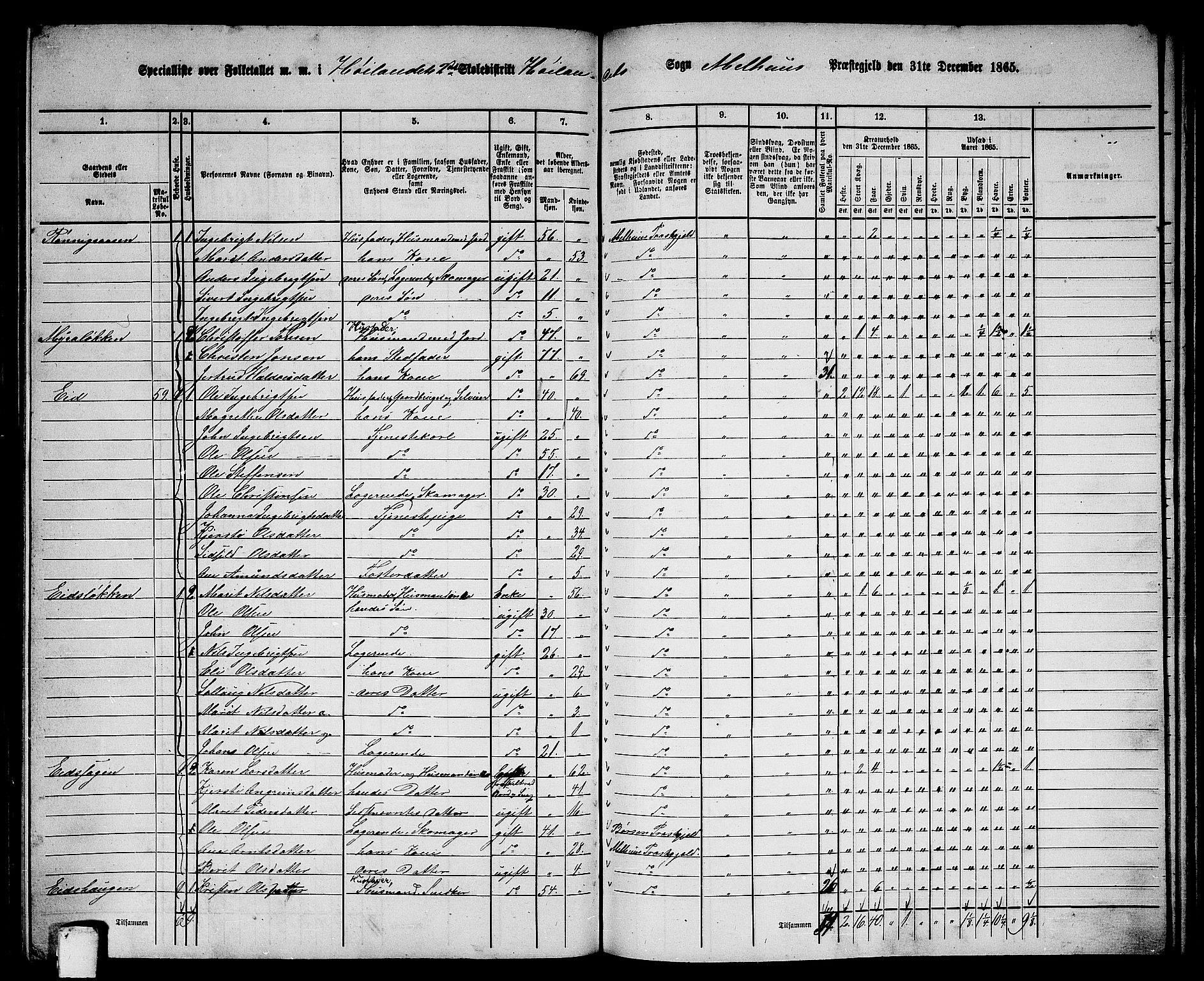 RA, 1865 census for Melhus, 1865, p. 180