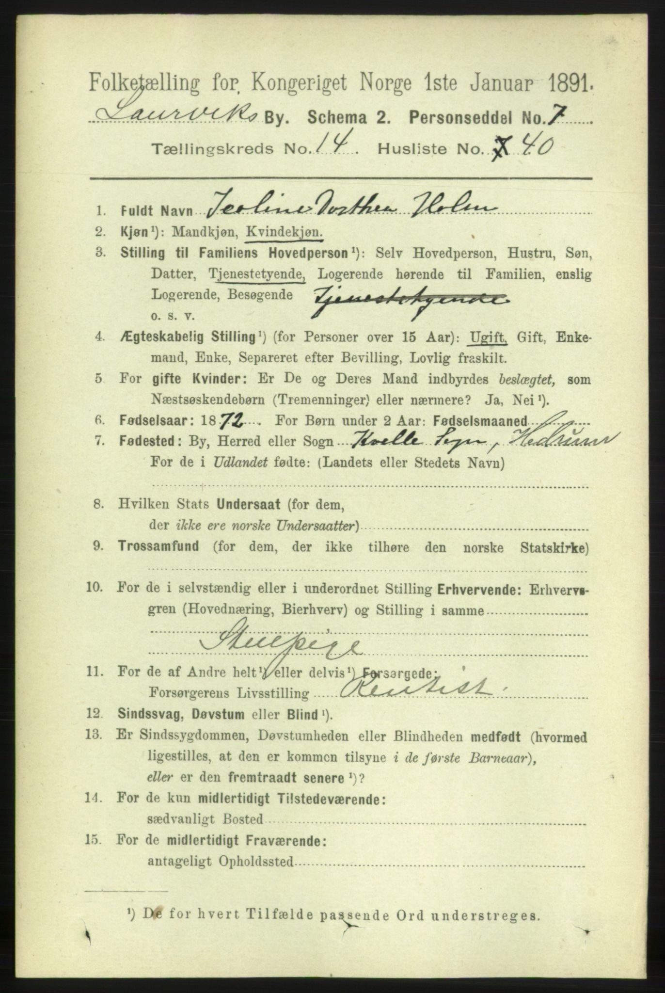 RA, 1891 census for 0707 Larvik, 1891, p. 11303