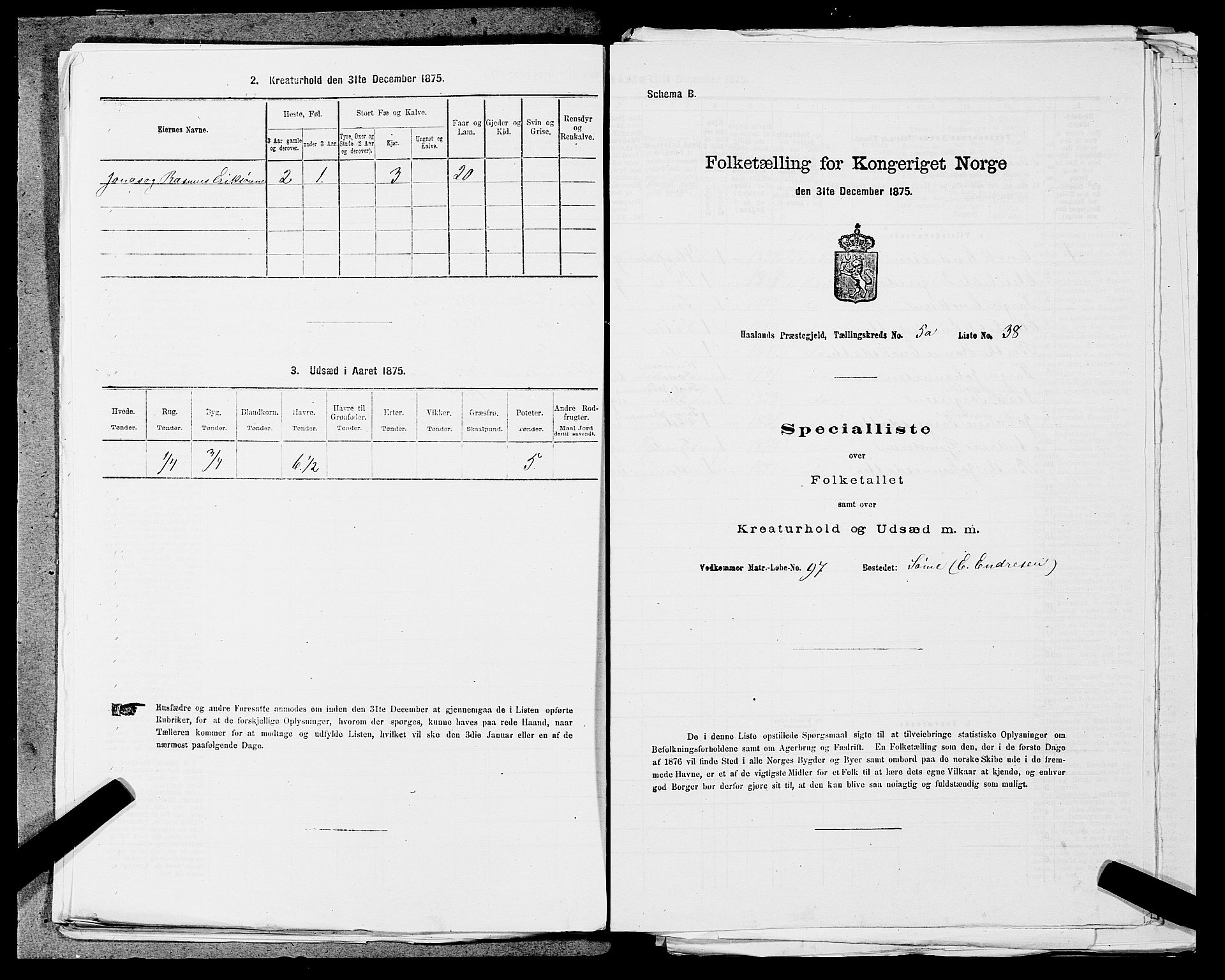 SAST, 1875 census for 1124P Håland, 1875, p. 718