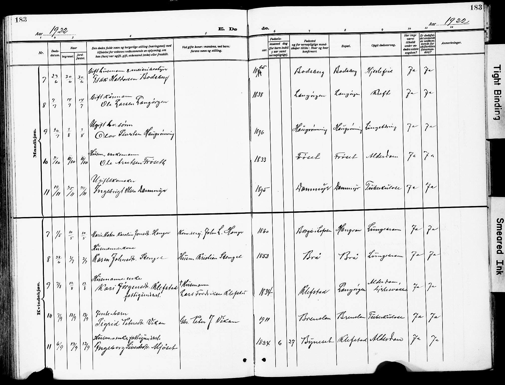 Ministerialprotokoller, klokkerbøker og fødselsregistre - Sør-Trøndelag, AV/SAT-A-1456/612/L0388: Parish register (copy) no. 612C04, 1909-1929, p. 183