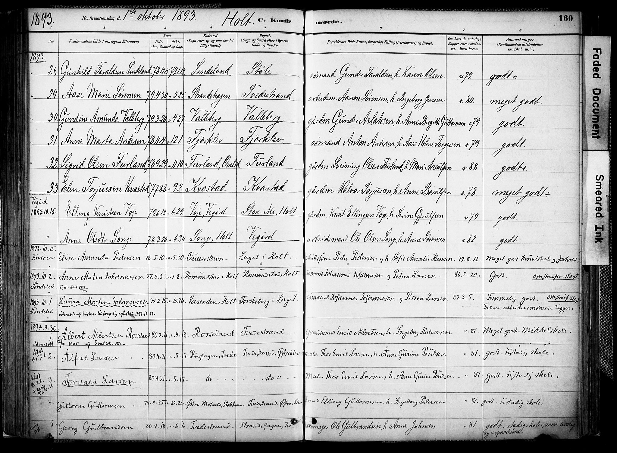 Holt sokneprestkontor, AV/SAK-1111-0021/F/Fa/L0012: Parish register (official) no. A 12, 1885-1907, p. 160