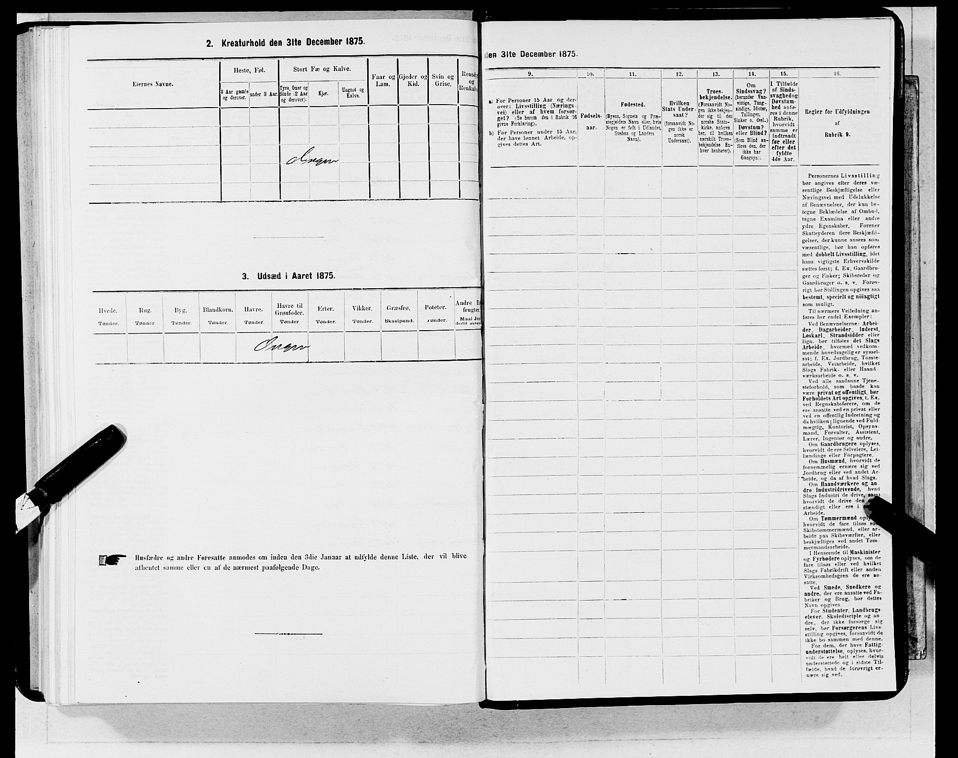 SAB, 1875 census for 1301 Bergen, 1875, p. 5191