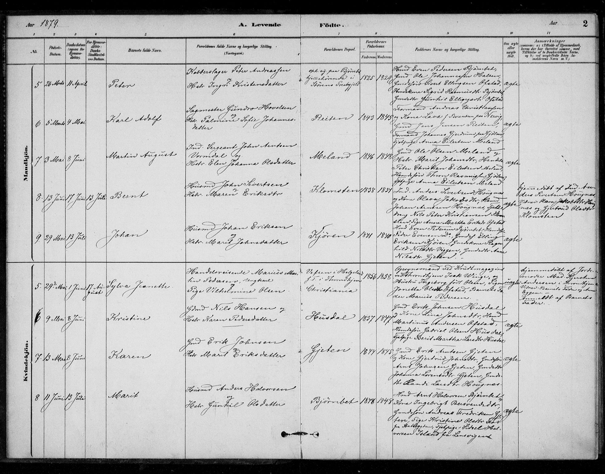 Ministerialprotokoller, klokkerbøker og fødselsregistre - Sør-Trøndelag, SAT/A-1456/670/L0836: Parish register (official) no. 670A01, 1879-1904, p. 2