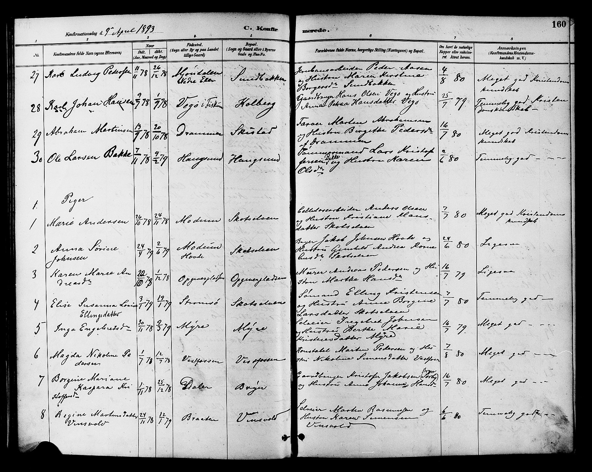 Eiker kirkebøker, AV/SAKO-A-4/F/Fb/L0002: Parish register (official) no. II 2, 1889-1896, p. 160