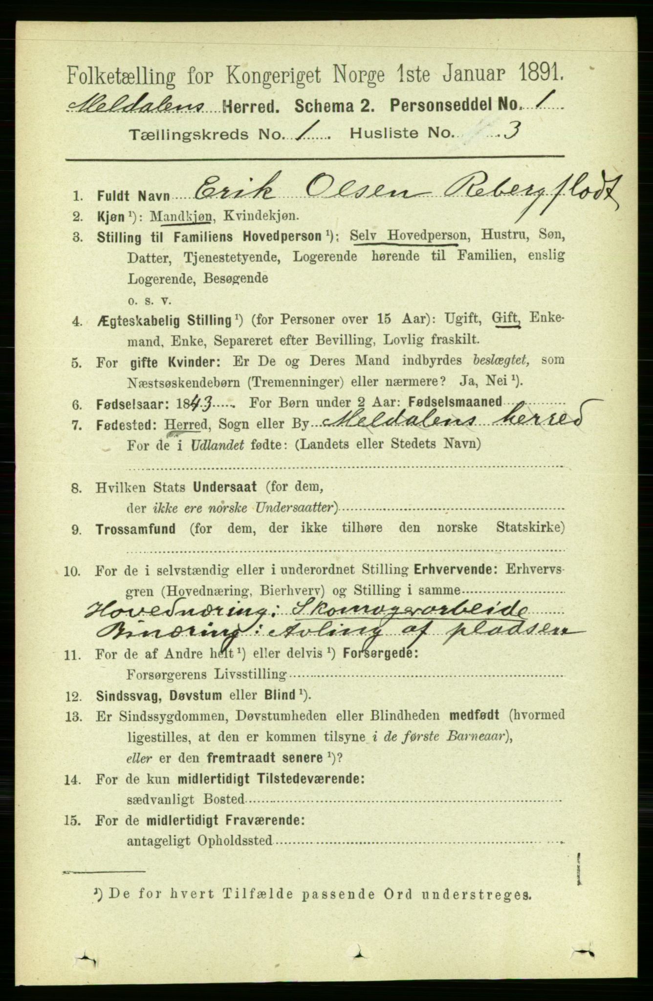 RA, 1891 census for 1636 Meldal, 1891, p. 169