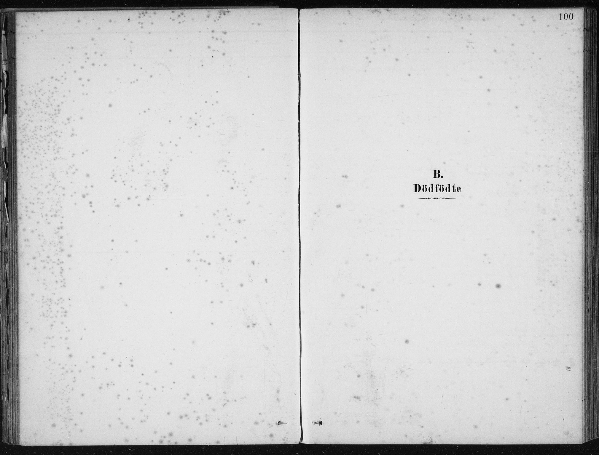 Fjelberg sokneprestembete, SAB/A-75201/H/Haa: Parish register (official) no. D 1, 1879-1918, p. 100
