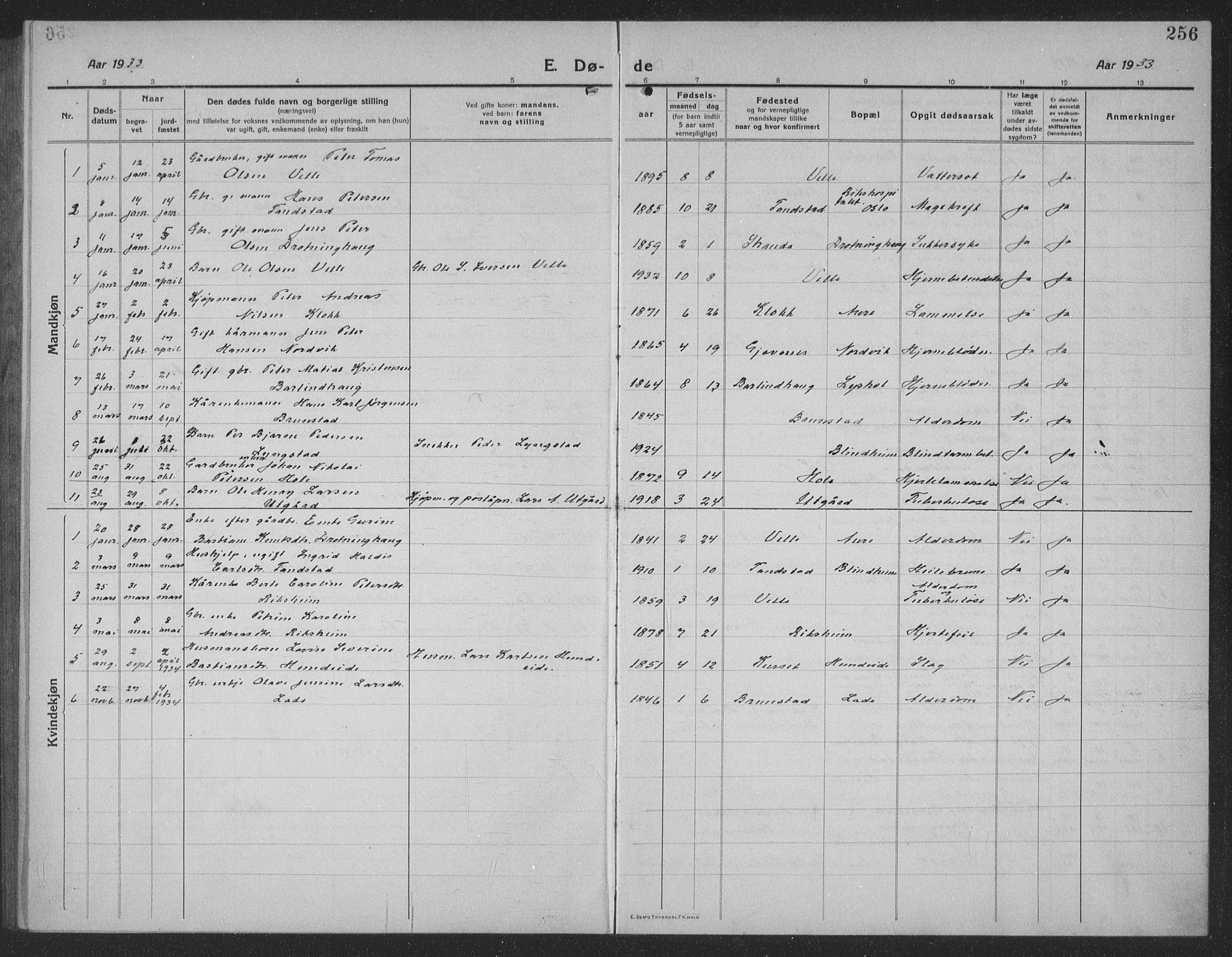 Ministerialprotokoller, klokkerbøker og fødselsregistre - Møre og Romsdal, AV/SAT-A-1454/523/L0342: Parish register (copy) no. 523C05, 1916-1937, p. 256