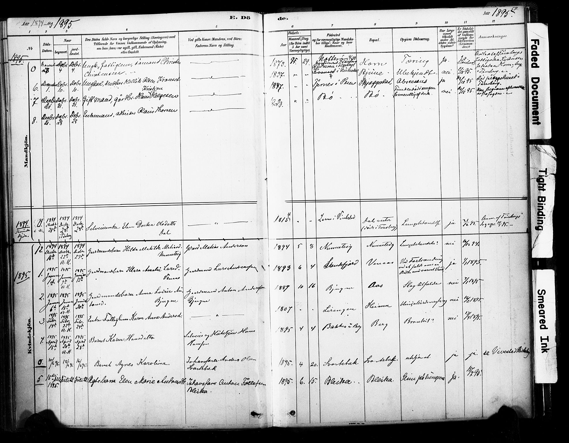 Ramnes kirkebøker, AV/SAKO-A-314/F/Fa/L0007: Parish register (official) no. I 7, 1878-1895, p. 510-511