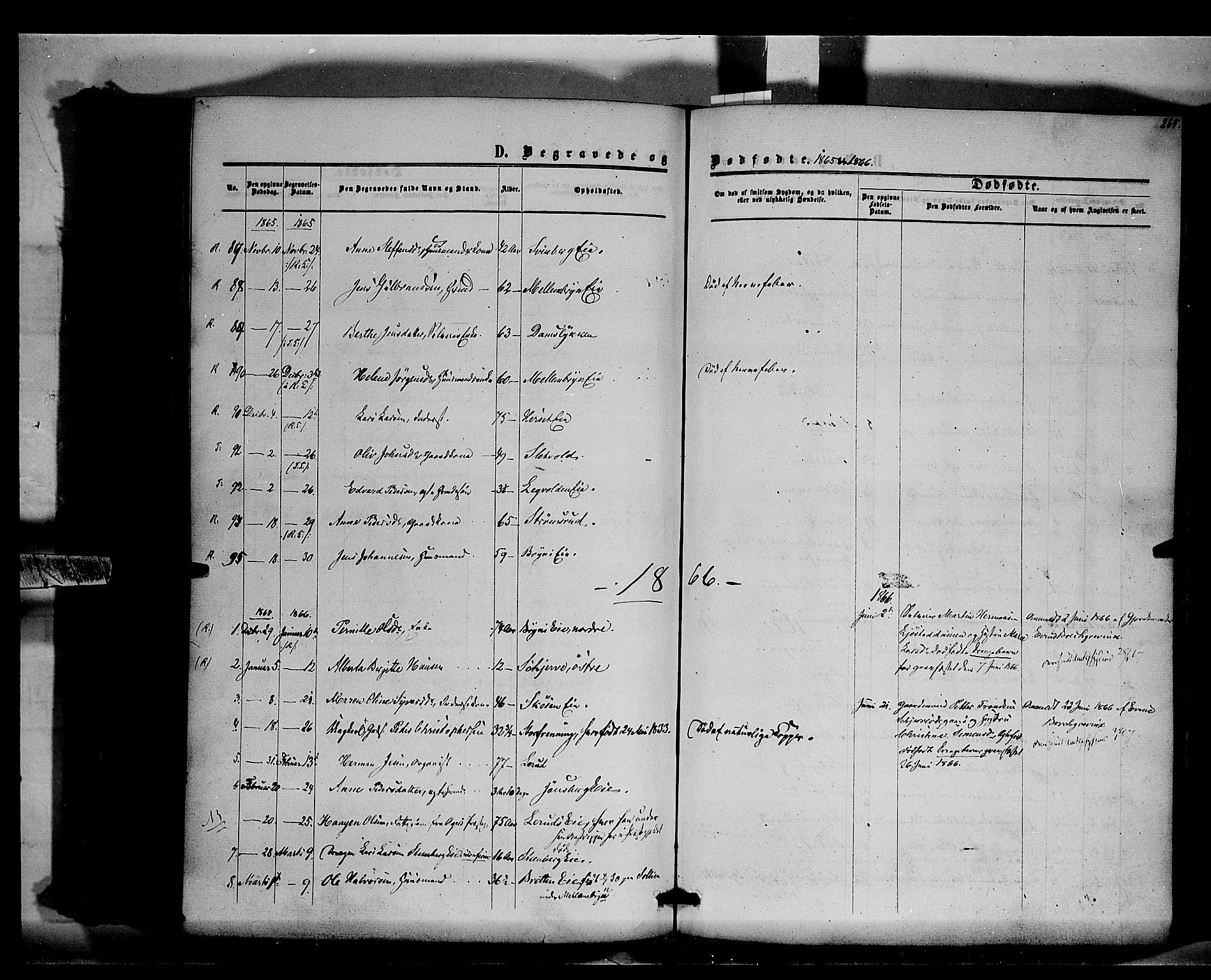 Romedal prestekontor, AV/SAH-PREST-004/K/L0005: Parish register (official) no. 5, 1862-1874, p. 265