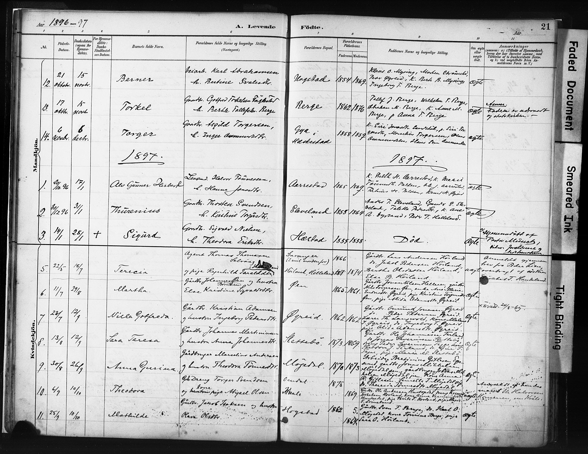 Helleland sokneprestkontor, SAST/A-101810: Parish register (official) no. A 8, 1887-1907, p. 21