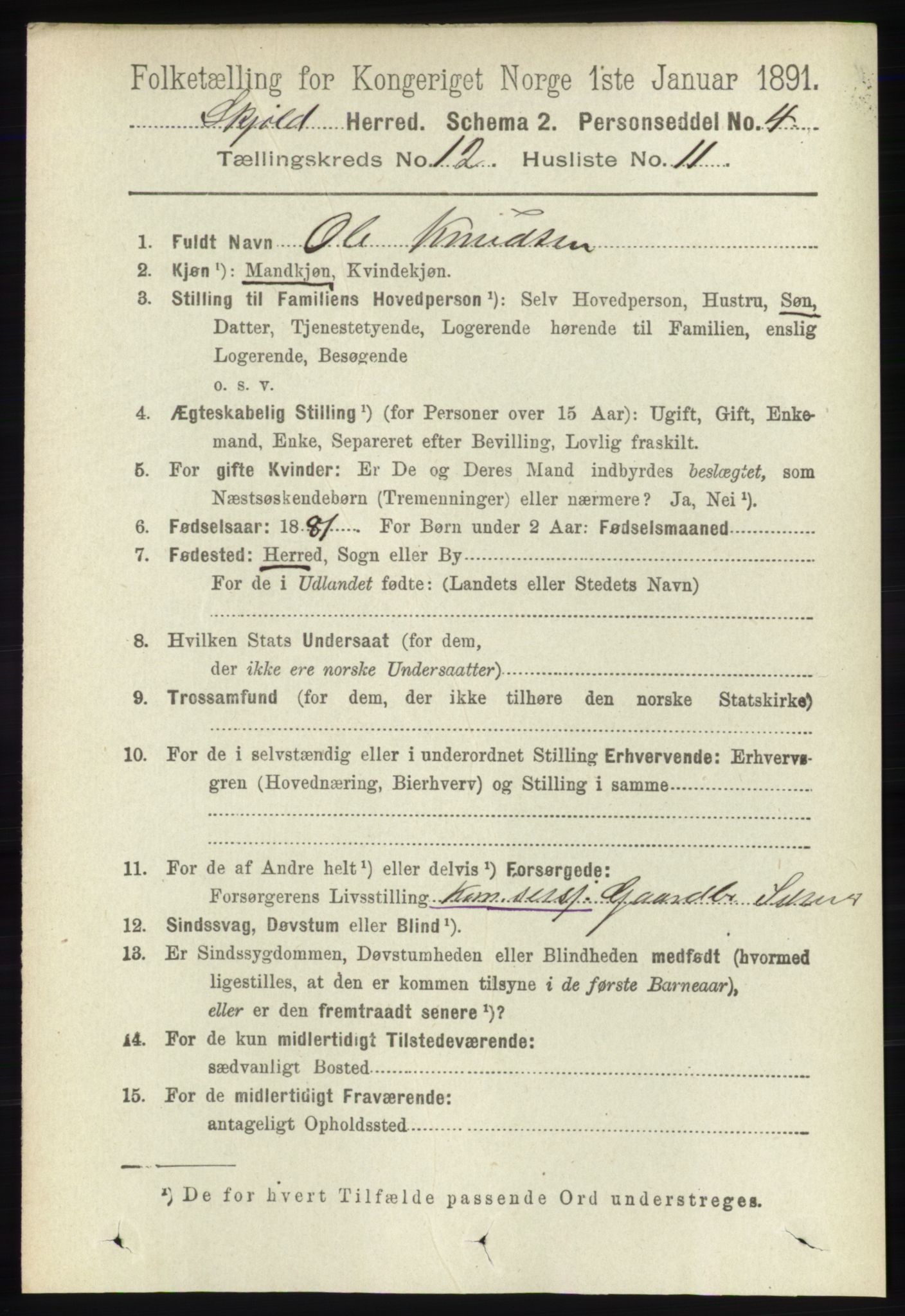 RA, 1891 census for 1154 Skjold, 1891, p. 2308