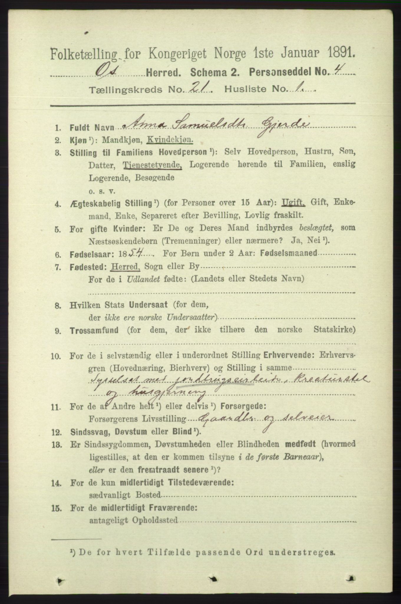 RA, 1891 census for 1243 Os, 1891, p. 4843