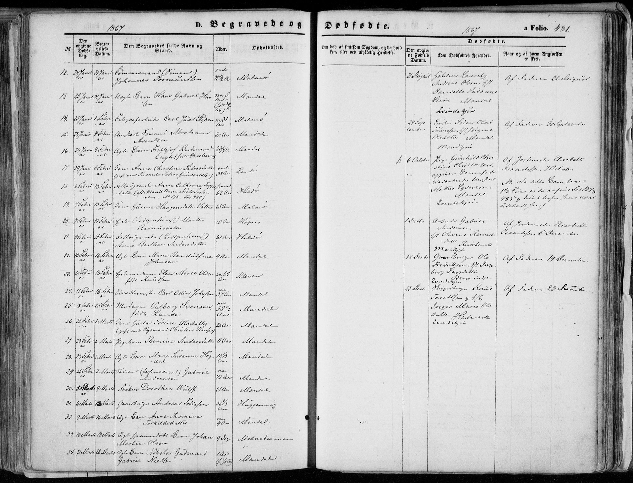 Mandal sokneprestkontor, SAK/1111-0030/F/Fa/Faa/L0014: Parish register (official) no. A 14, 1859-1872, p. 481