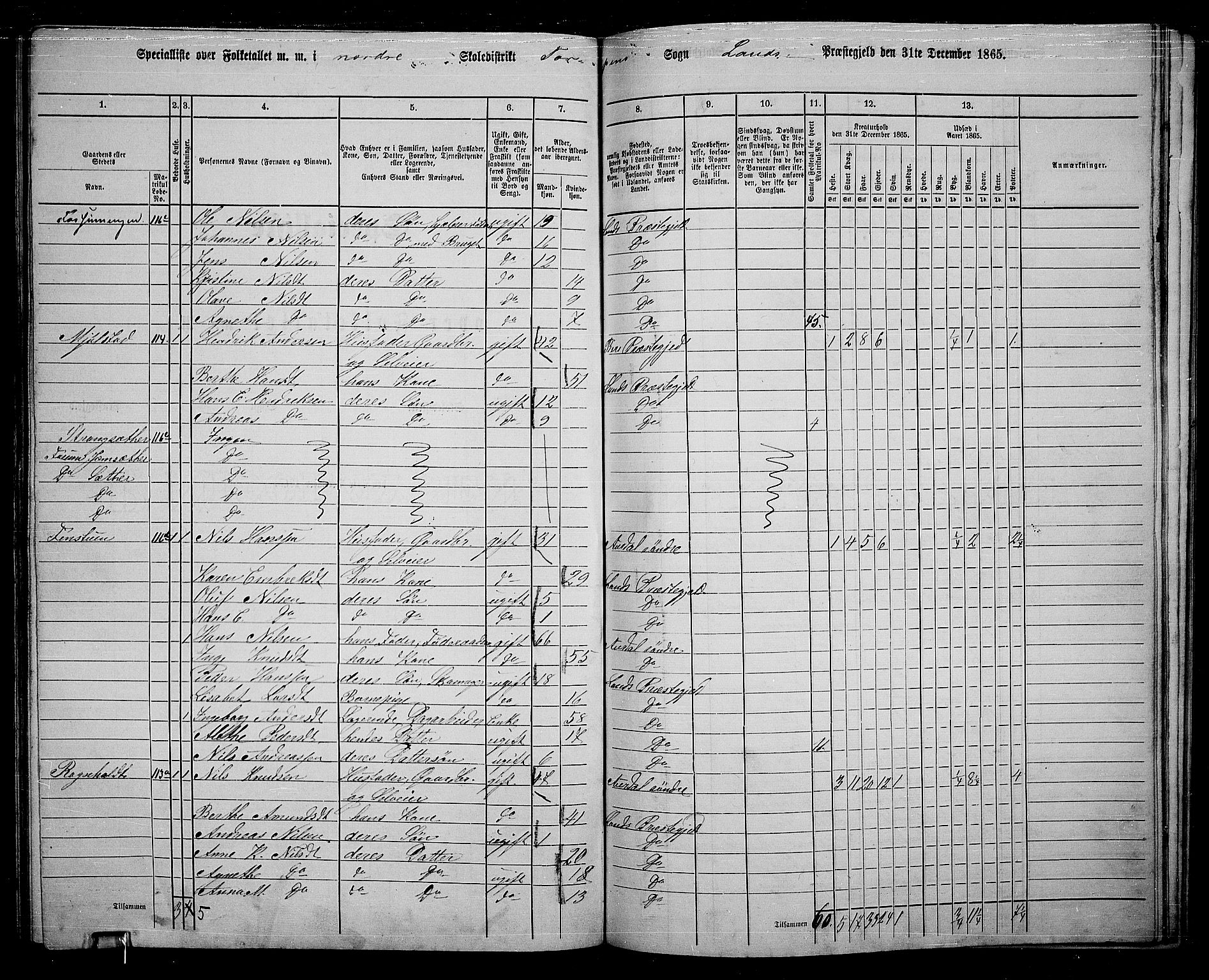 RA, 1865 census for Land, 1865, p. 163