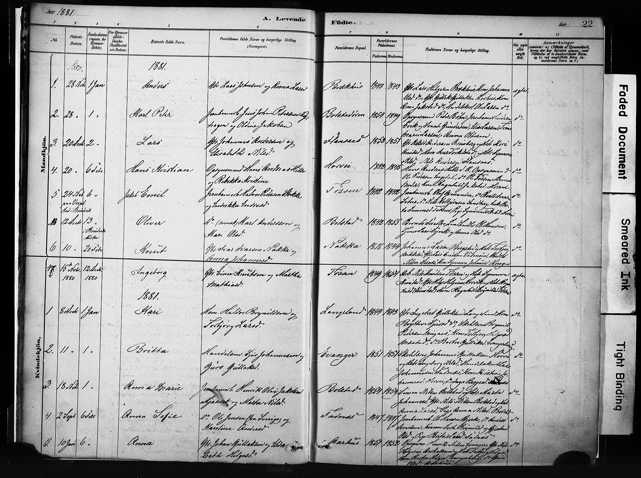 Evanger sokneprestembete, SAB/A-99924: Parish register (official) no. A 1, 1877-1899, p. 22