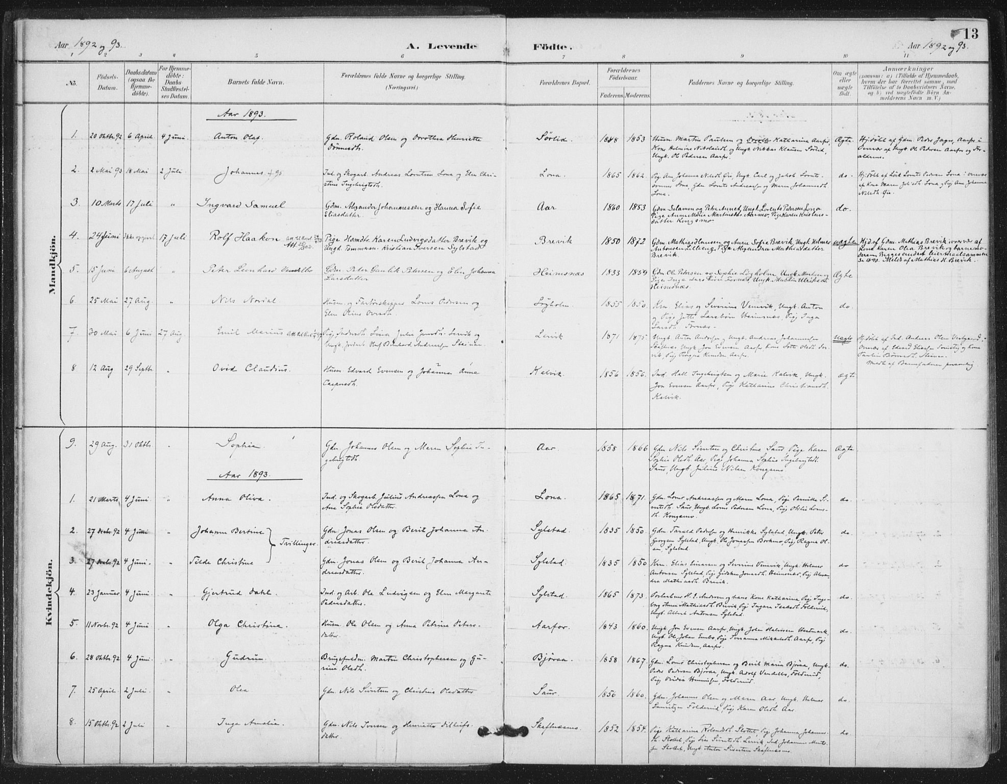Ministerialprotokoller, klokkerbøker og fødselsregistre - Nord-Trøndelag, SAT/A-1458/783/L0660: Parish register (official) no. 783A02, 1886-1918, p. 13