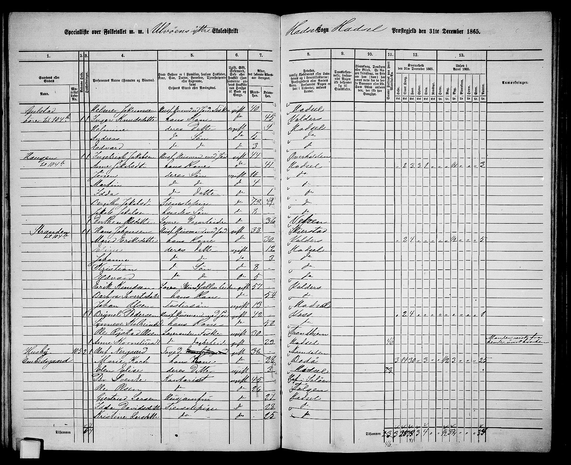 RA, 1865 census for Hadsel, 1865, p. 103