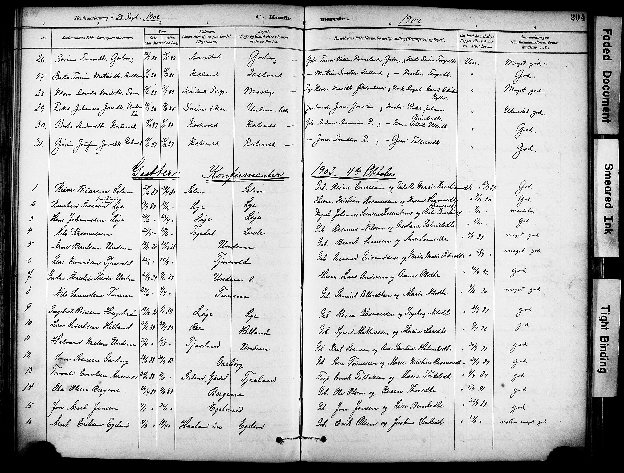 Lye sokneprestkontor, SAST/A-101794/001/30BA/L0011: Parish register (official) no. A 9, 1893-1903, p. 204