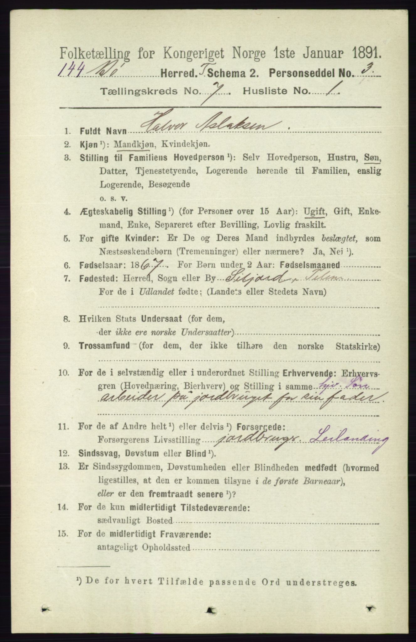 RA, 1891 census for 0821 Bø, 1891, p. 2207