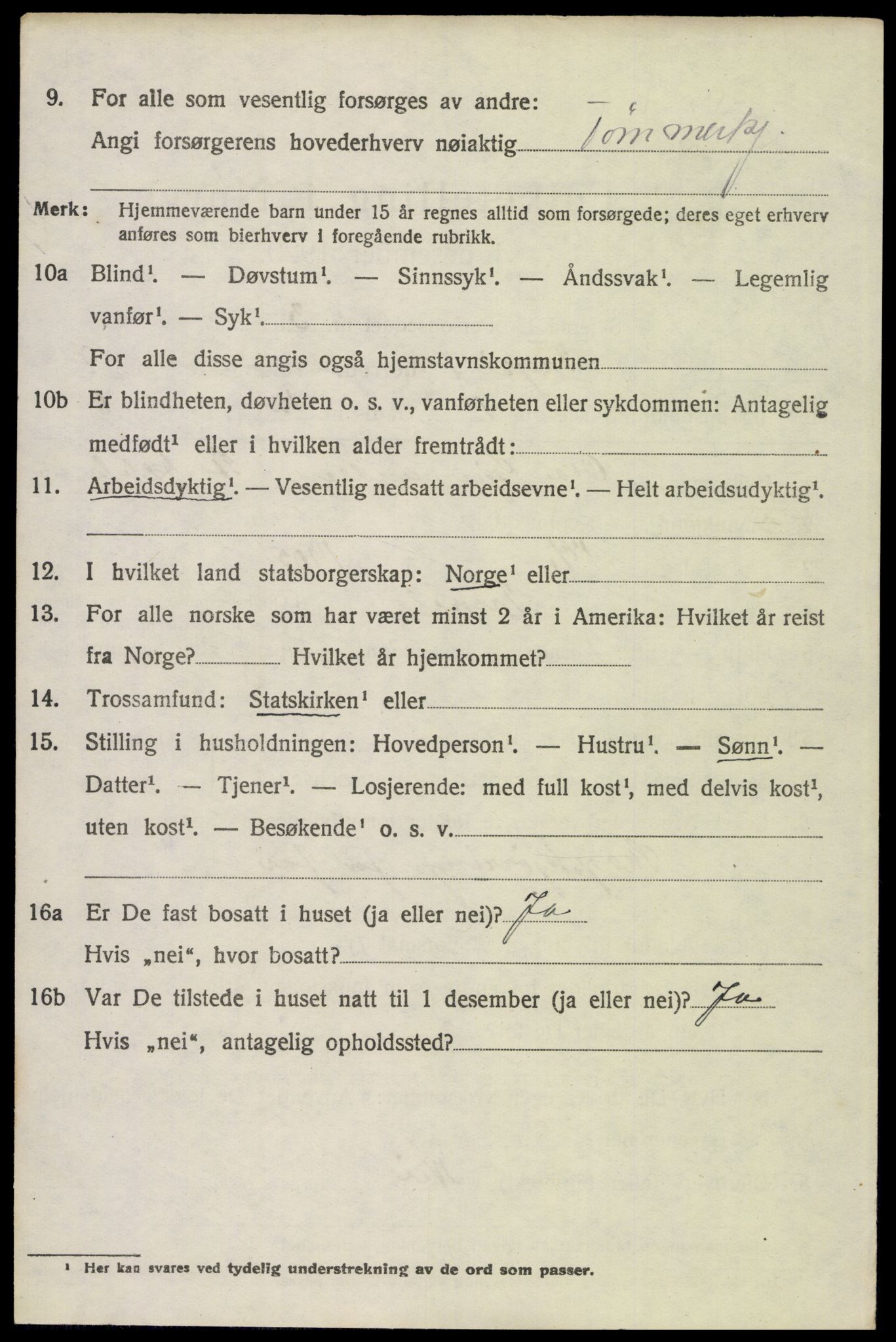 SAH, 1920 census for Trysil, 1920, p. 6560