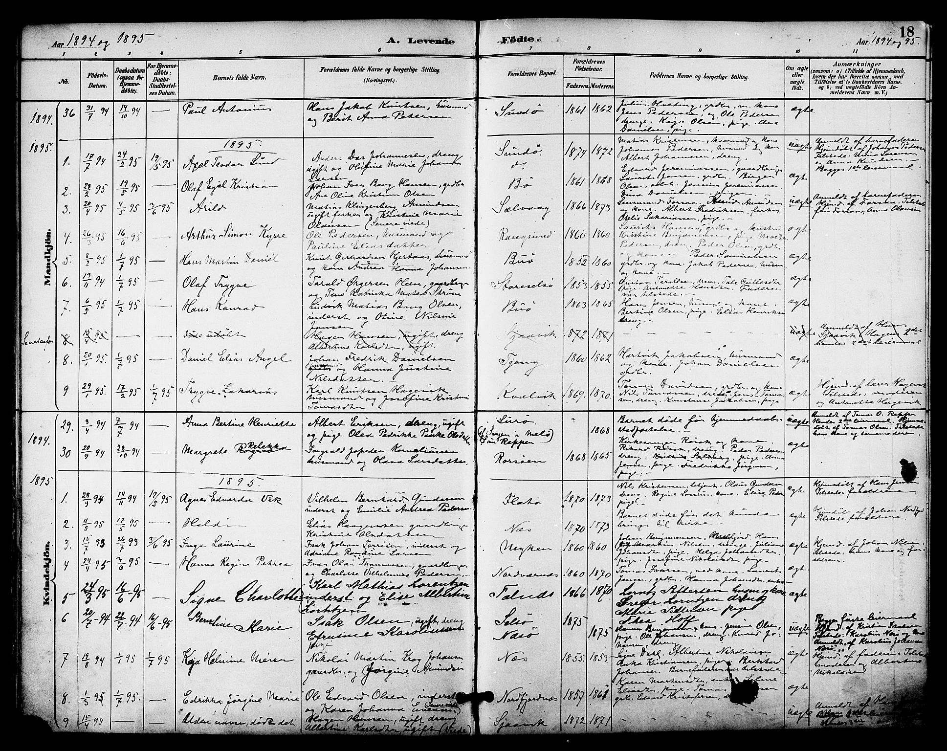 Ministerialprotokoller, klokkerbøker og fødselsregistre - Nordland, AV/SAT-A-1459/841/L0610: Parish register (official) no. 841A14, 1890-1901, p. 18