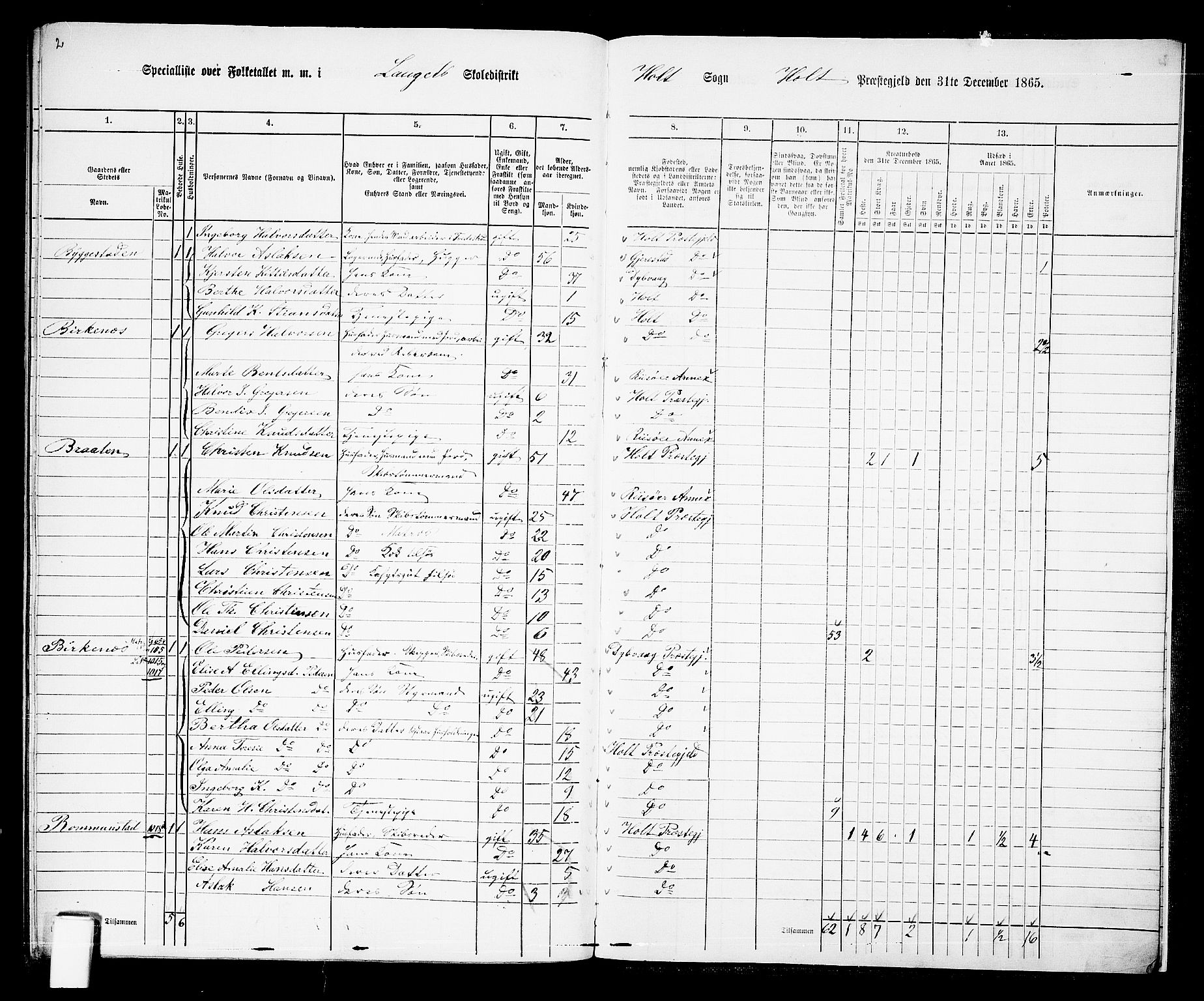RA, 1865 census for Holt/Holt, 1865, p. 174