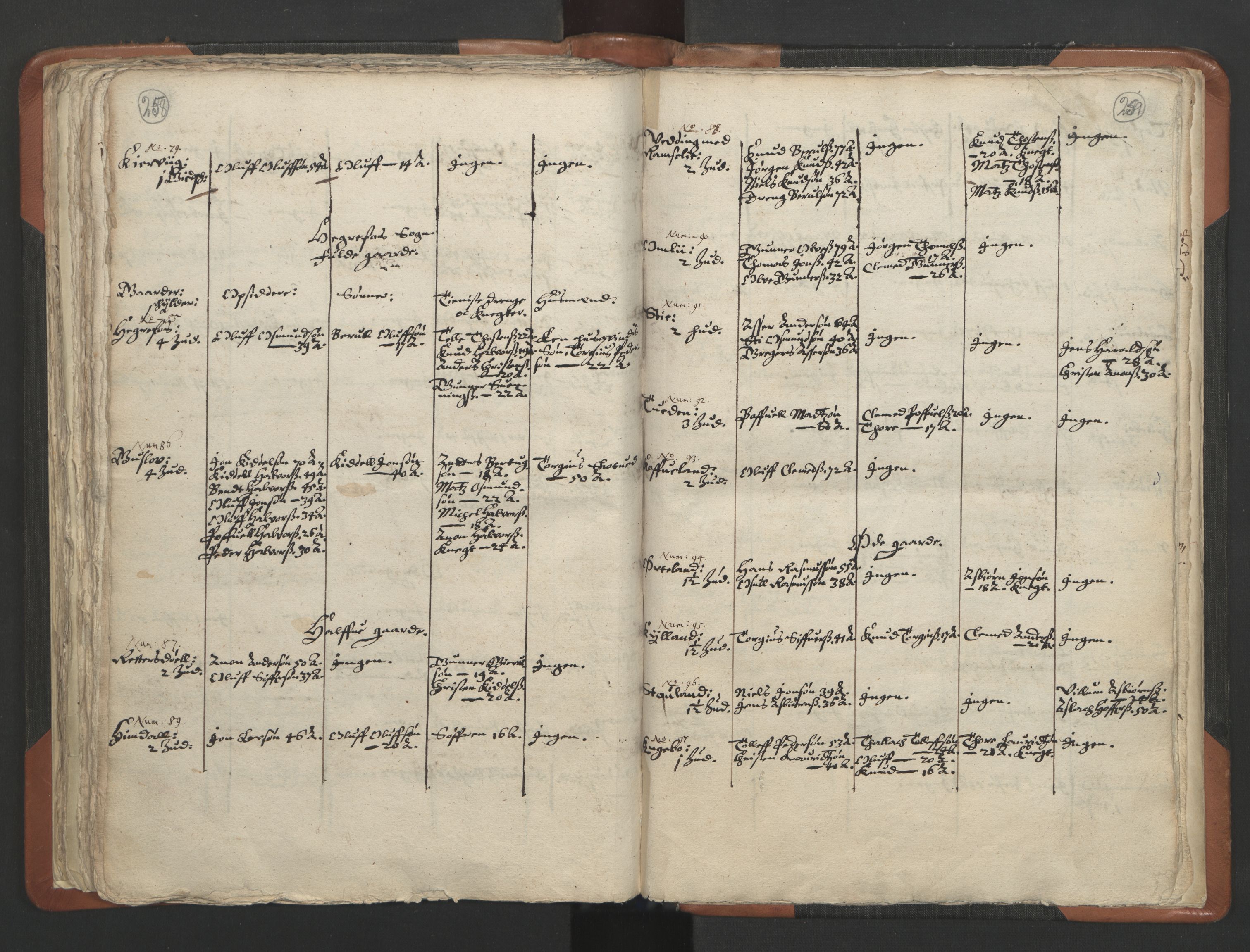 RA, Vicar's Census 1664-1666, no. 13: Nedenes deanery, 1664-1666, p. 258-259