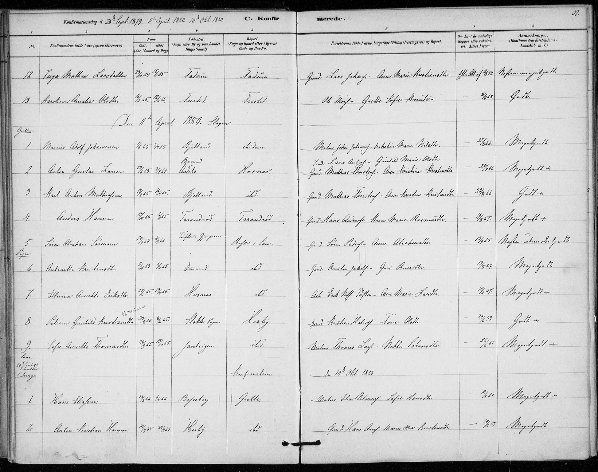 Sem kirkebøker, AV/SAKO-A-5/F/Fa/L0010: Parish register (official) no. I 10, 1878-1887, p. 57