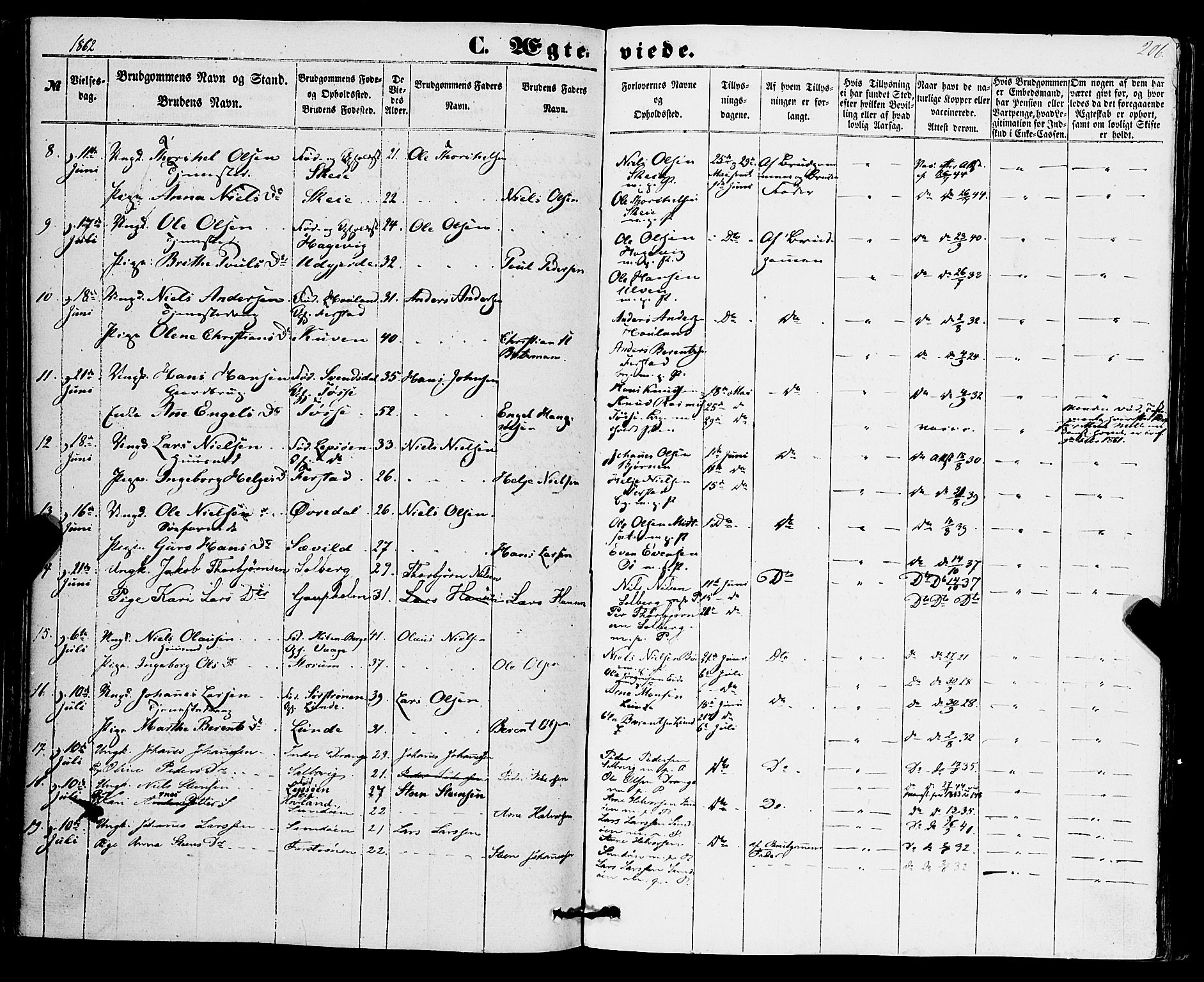 Os sokneprestembete, SAB/A-99929: Parish register (official) no. A 17, 1860-1873, p. 206