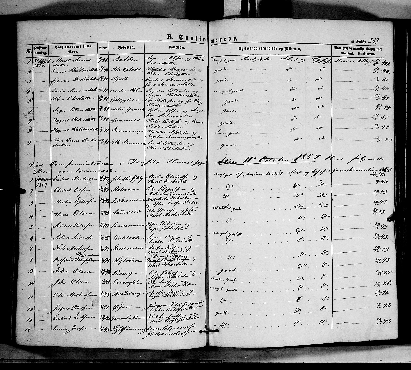 Tynset prestekontor, SAH/PREST-058/H/Ha/Haa/L0020: Parish register (official) no. 20, 1848-1862, p. 243