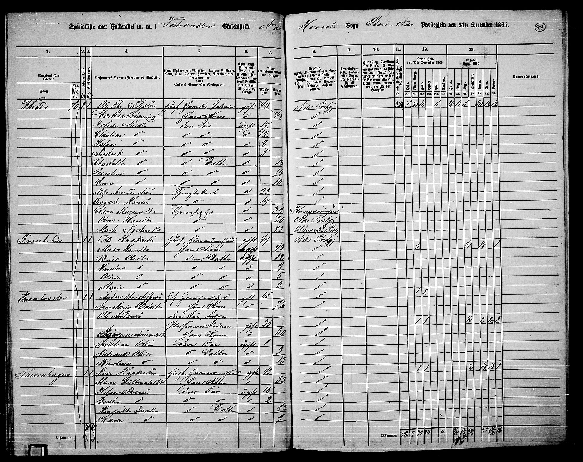 RA, 1865 census for Nes, 1865, p. 91