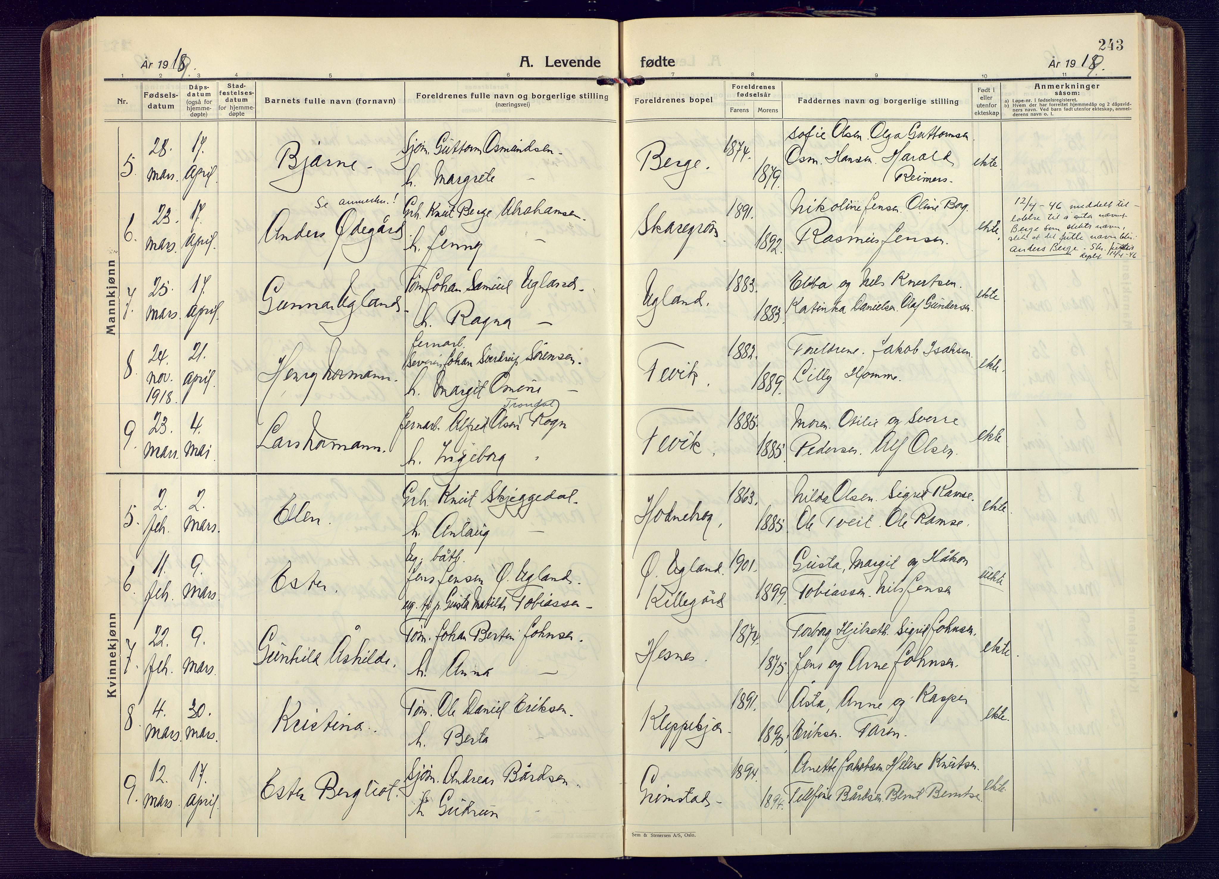 Fjære sokneprestkontor, AV/SAK-1111-0011/F/Fa/L0004: Parish register (official) no. A 4, 1902-1925, p. 243