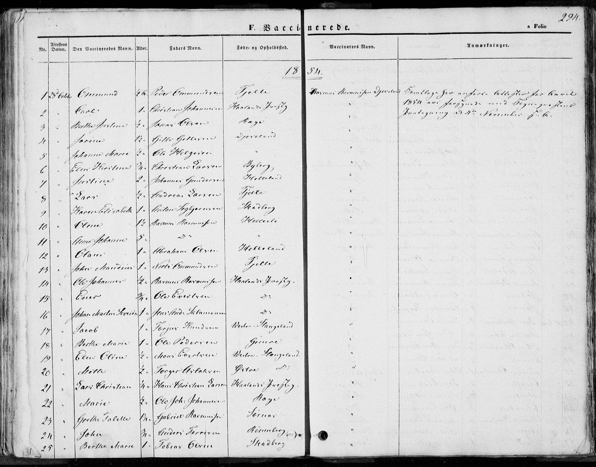 Håland sokneprestkontor, SAST/A-101802/001/30BA/L0008: Parish register (official) no. A 7.2, 1854-1870, p. 294