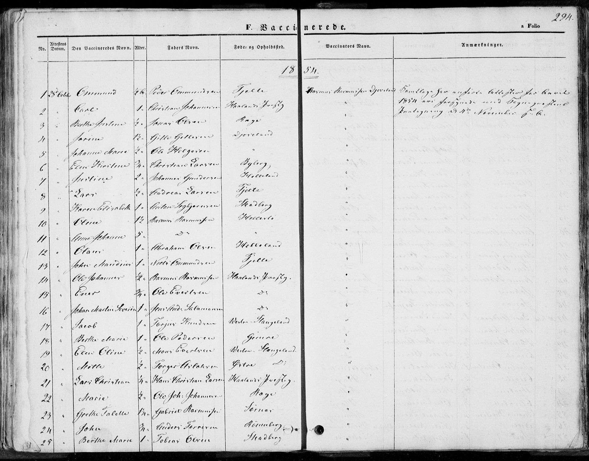 Håland sokneprestkontor, AV/SAST-A-101802/001/30BA/L0008: Parish register (official) no. A 7.2, 1854-1870, p. 294