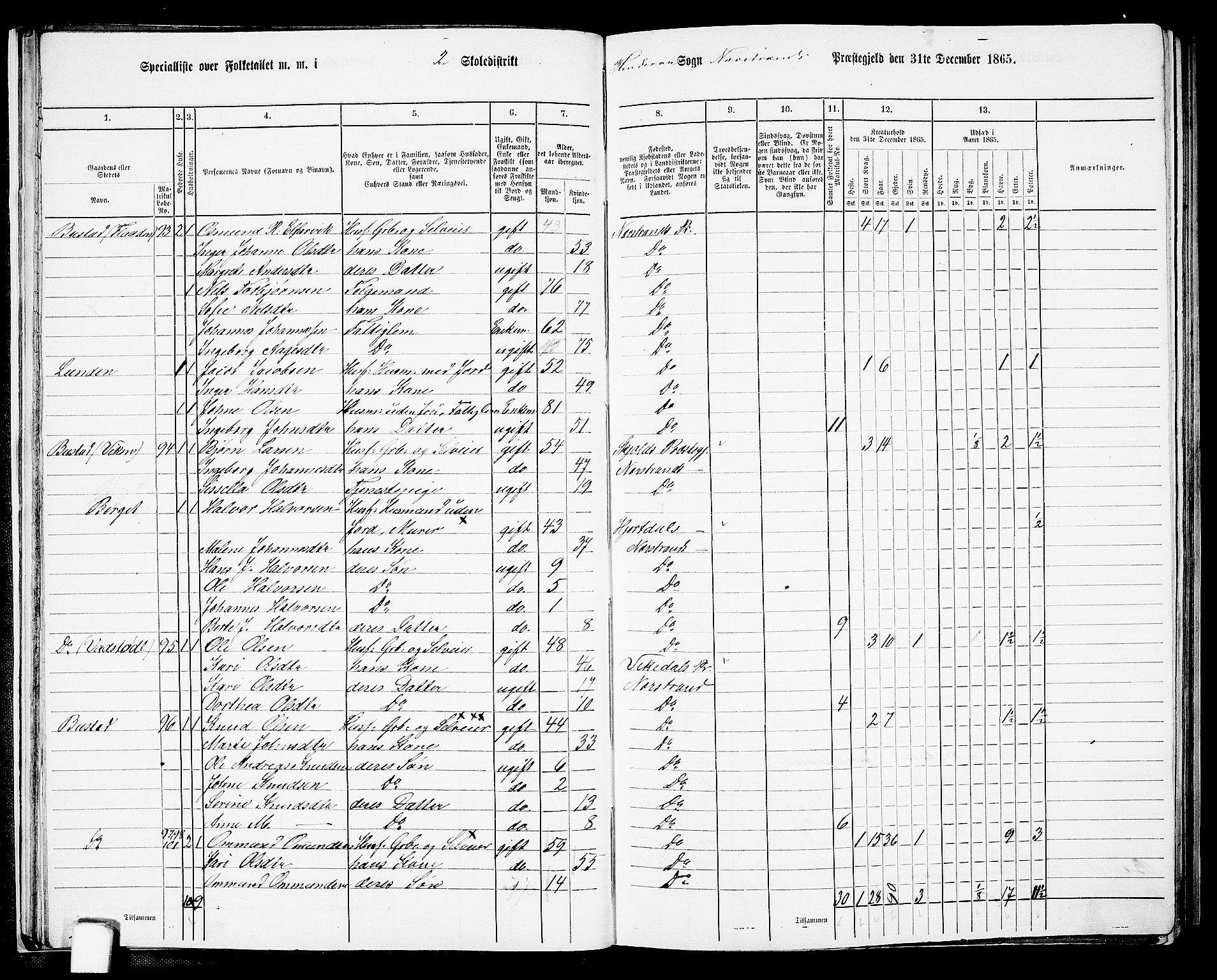 RA, 1865 census for Nedstrand, 1865, p. 30