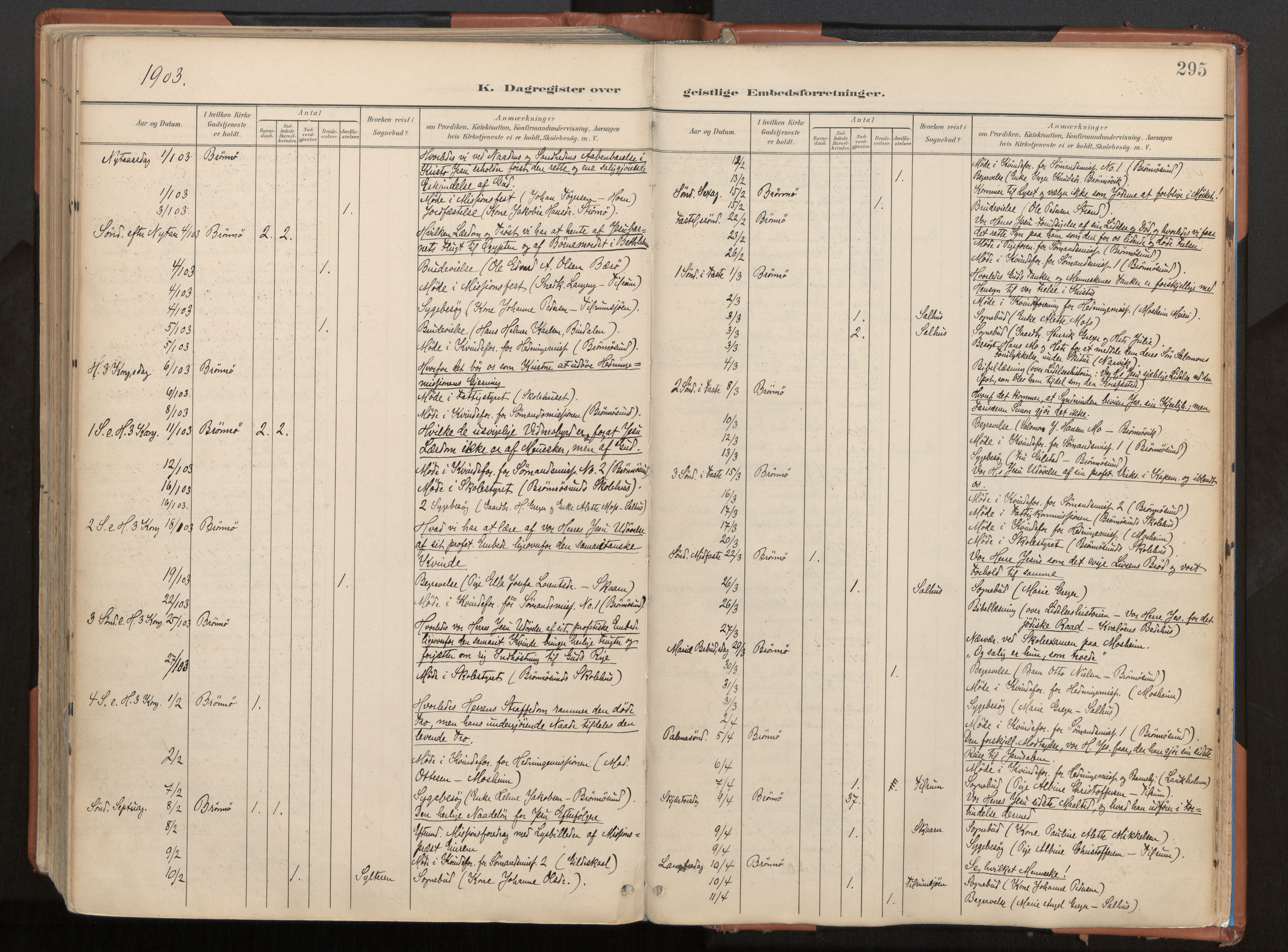 Ministerialprotokoller, klokkerbøker og fødselsregistre - Nordland, AV/SAT-A-1459/813/L0201: Parish register (official) no. 813A11, 1901-1918, p. 295