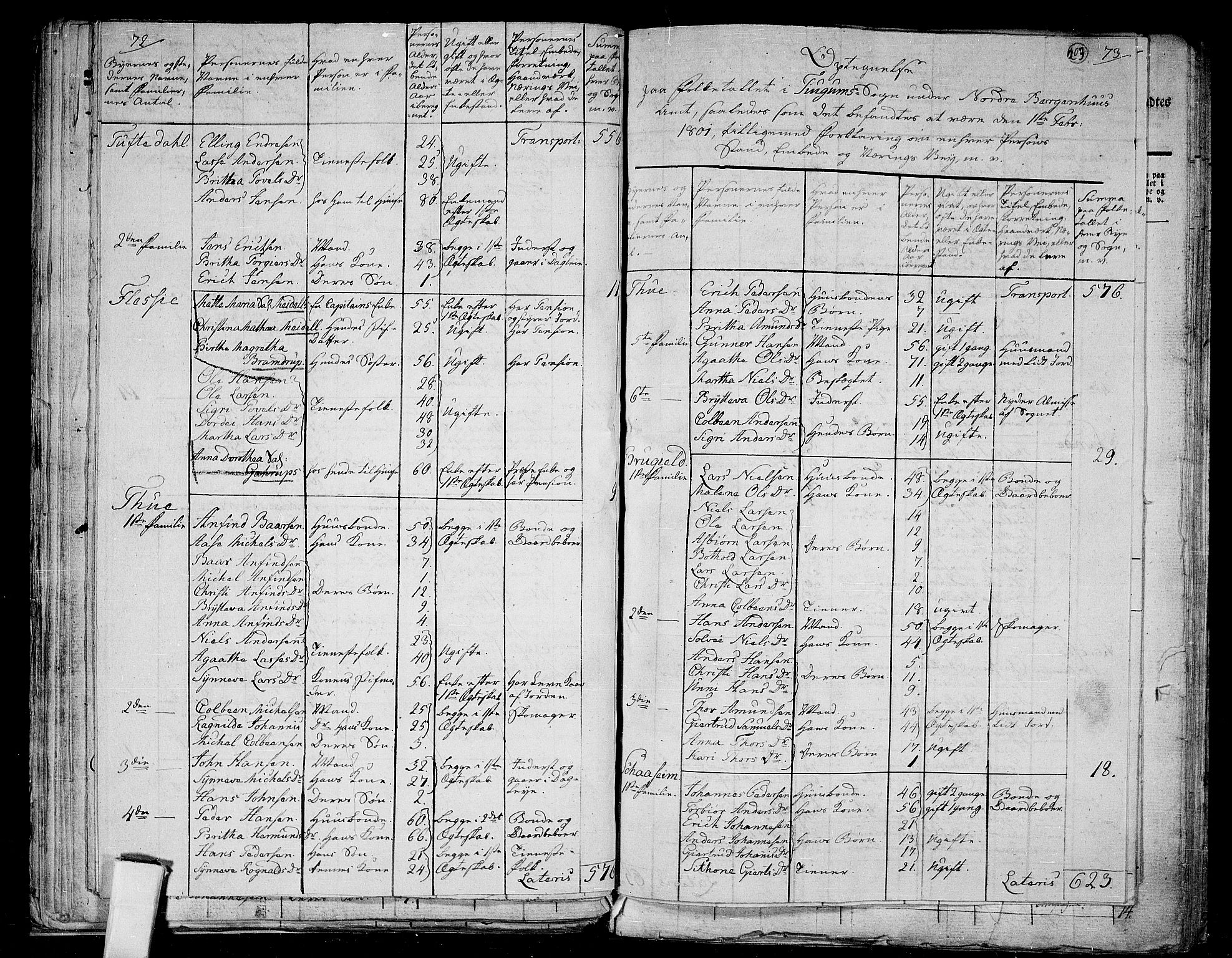 RA, 1801 census for 1419P Leikanger, 1801, p. 202b-203a