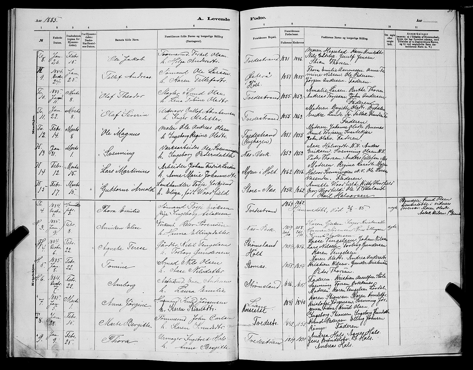 Holt sokneprestkontor, SAK/1111-0021/F/Fb/L0010: Parish register (copy) no. B 10, 1883-1896, p. 30