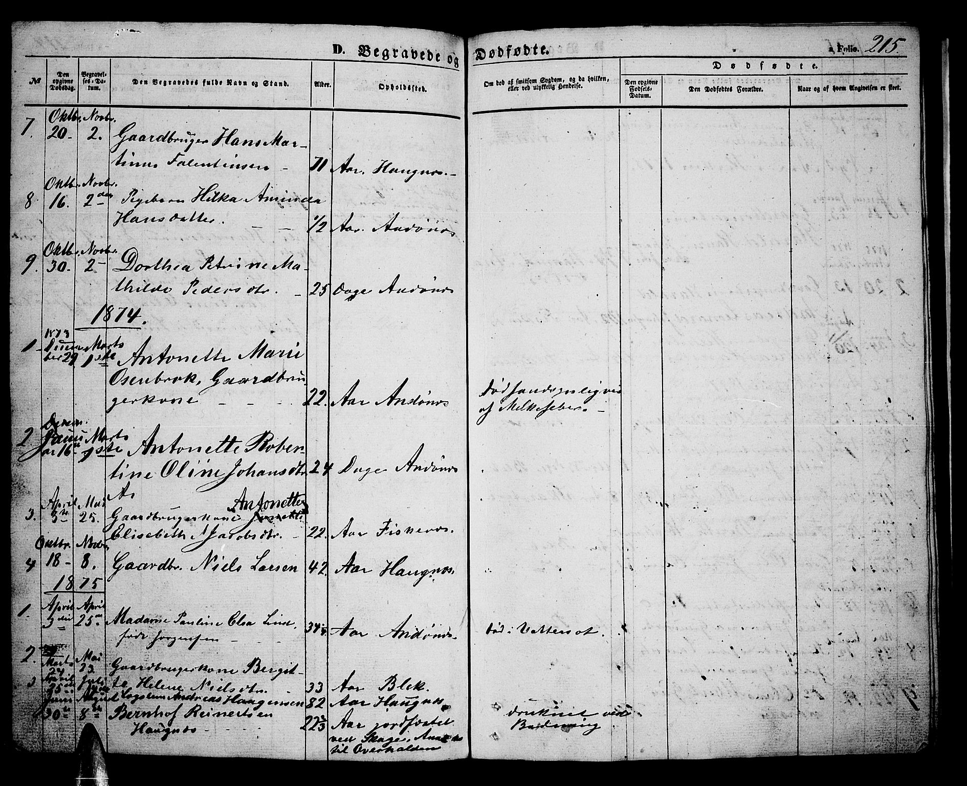 Ministerialprotokoller, klokkerbøker og fødselsregistre - Nordland, SAT/A-1459/899/L1447: Parish register (copy) no. 899C02, 1855-1886, p. 215