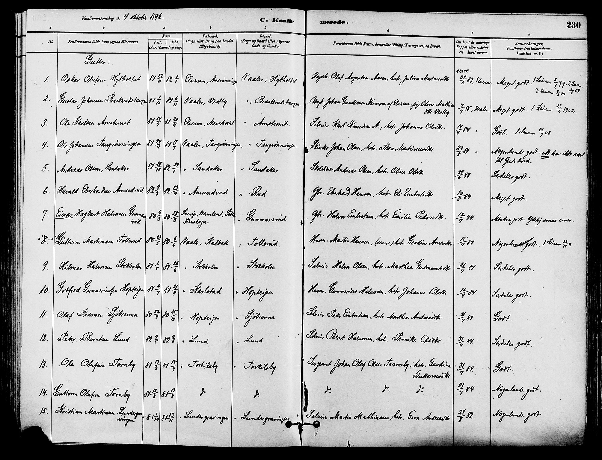 Våler prestekontor, Hedmark, AV/SAH-PREST-040/H/Ha/Haa/L0002: Parish register (official) no. 3, 1879-1911, p. 230