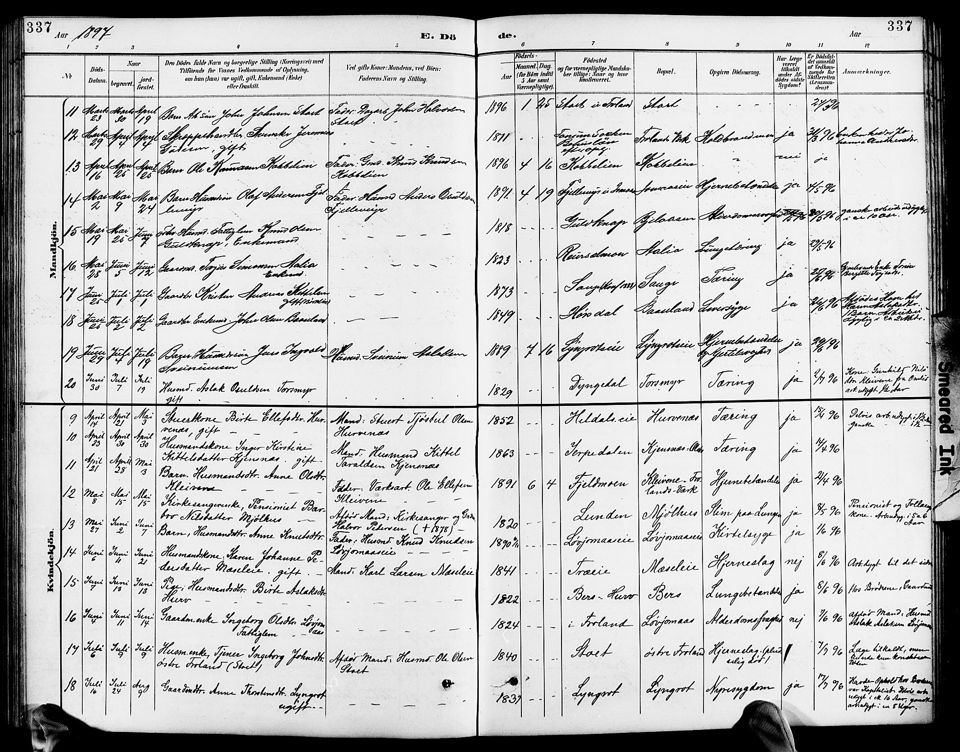 Froland sokneprestkontor, AV/SAK-1111-0013/F/Fb/L0010: Parish register (copy) no. B 10, 1893-1920, p. 337