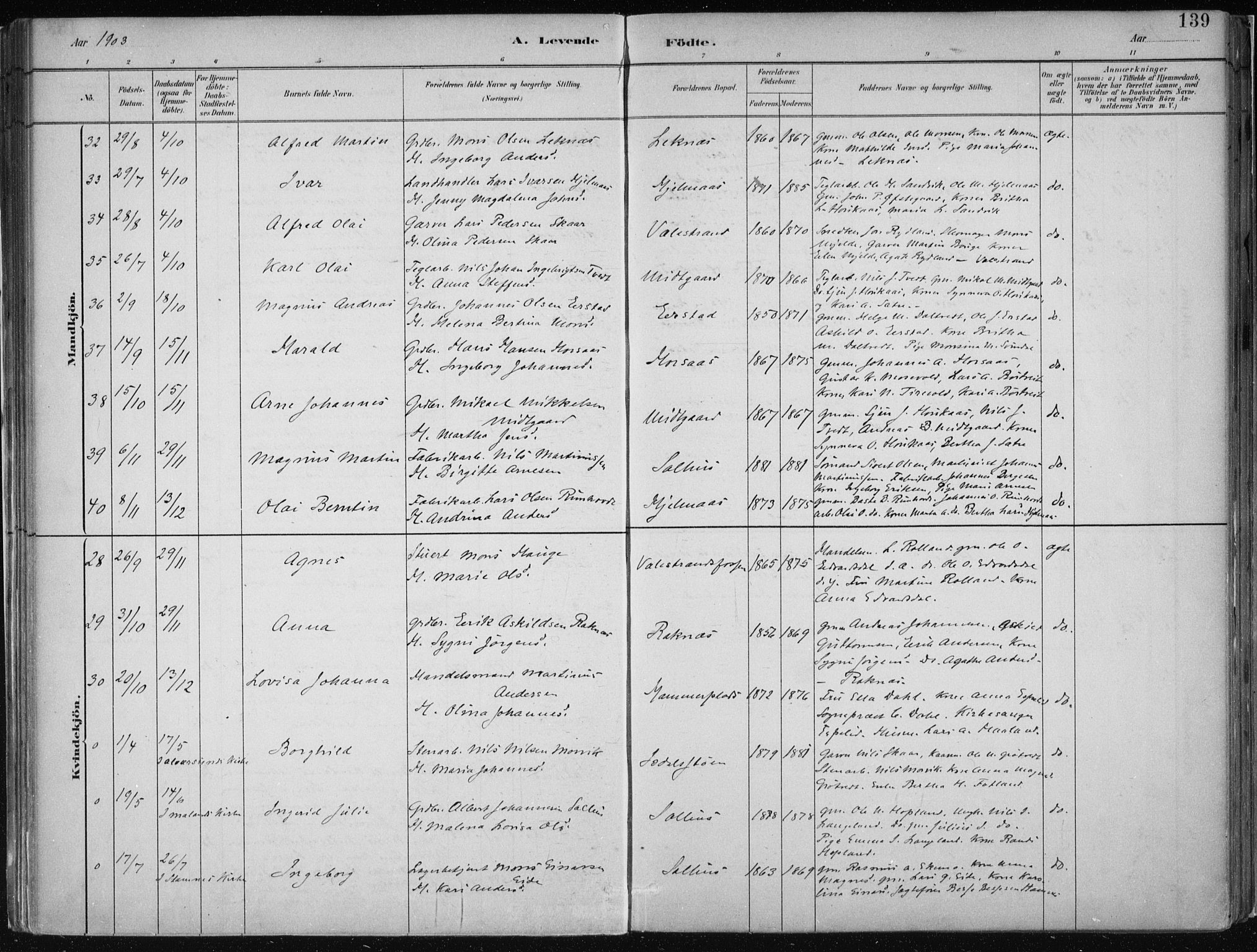 Hamre sokneprestembete, AV/SAB-A-75501/H/Ha/Haa/Haab/L0001: Parish register (official) no. B  1, 1882-1905, p. 139