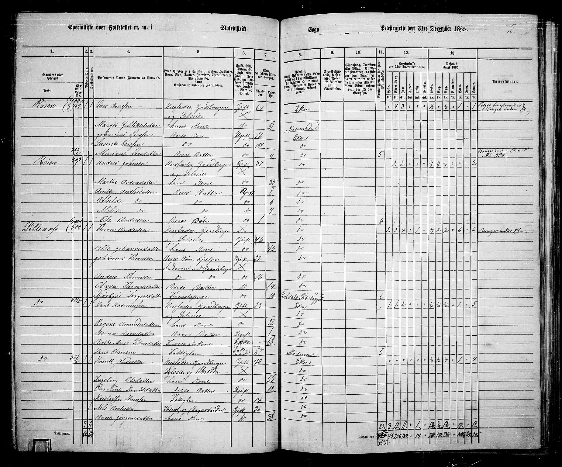 RA, 1865 census for Eiker, 1865, p. 119