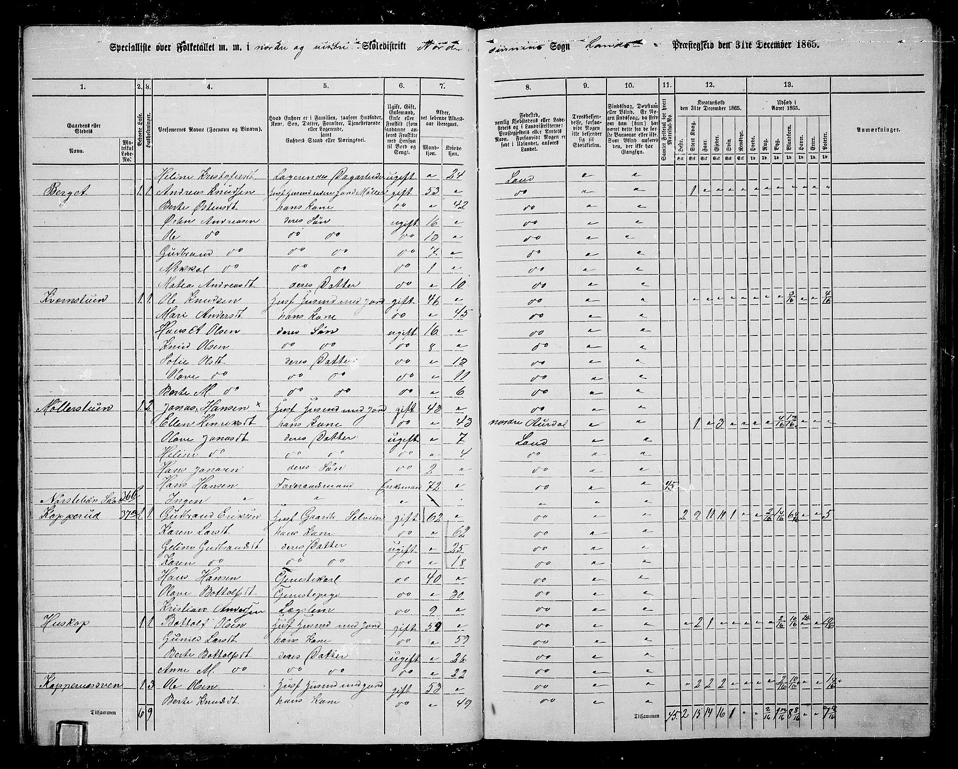 RA, 1865 census for Land, 1865, p. 32